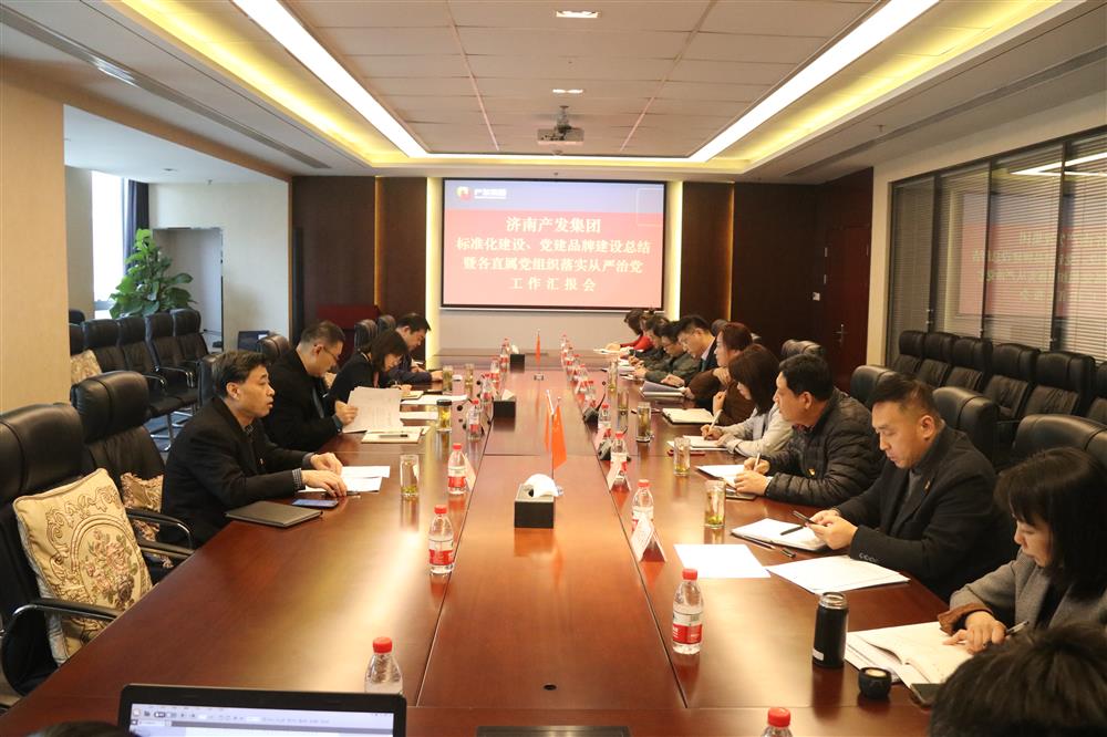 集團黨委召開黨組織標準化建設、 黨建品牌建設活動總結(jié)暨各直屬黨組織落實從嚴治黨工作匯報會議